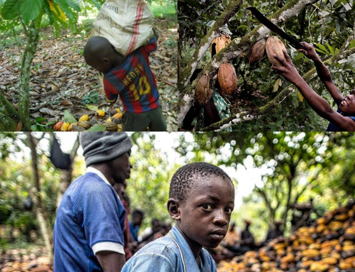 Over 1.1 Million Ghanaian Children Trapped in Child Labour, CHRAJ Warns