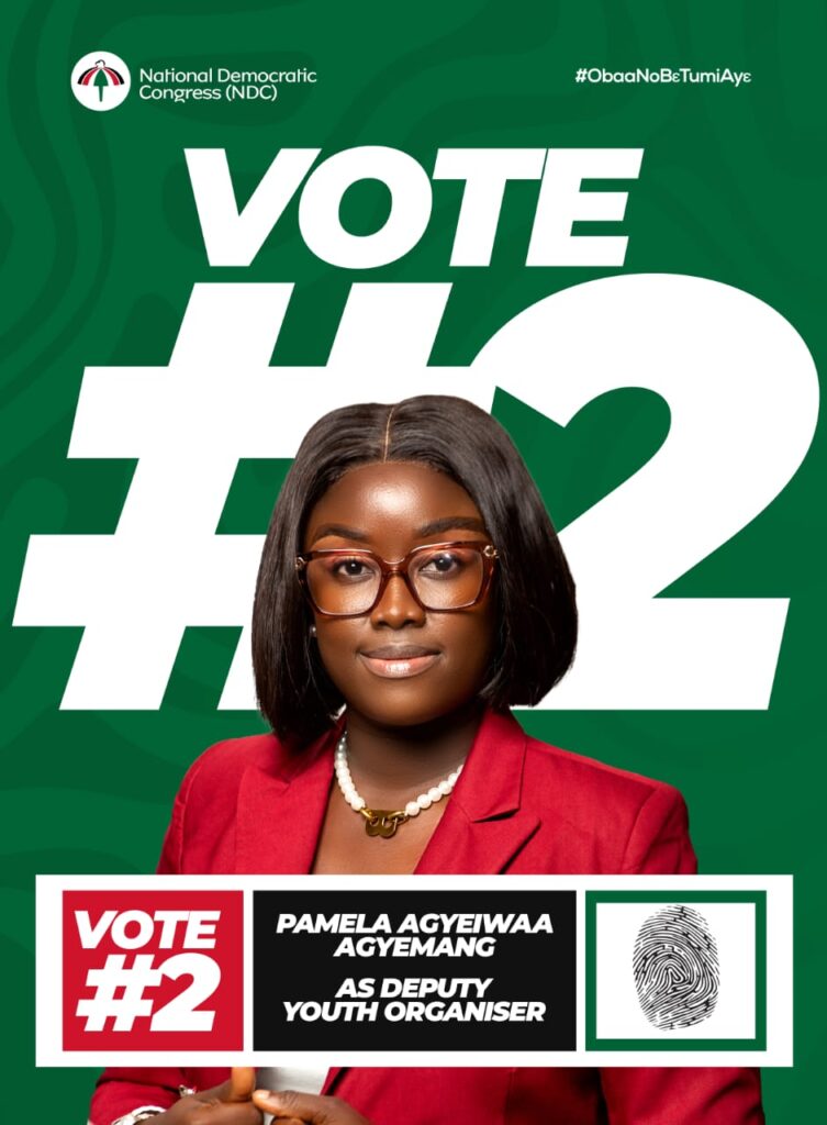 Pamela Agyeiwaa Agyemang cleared for NDC Afigya Kwabre South deputy youth organiser race, picks No. 2 on ballot